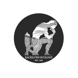backlund partner logo