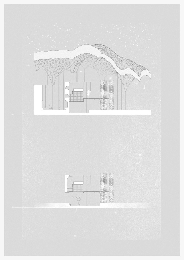 Section through a single dwelling and the Ice Sky itself.